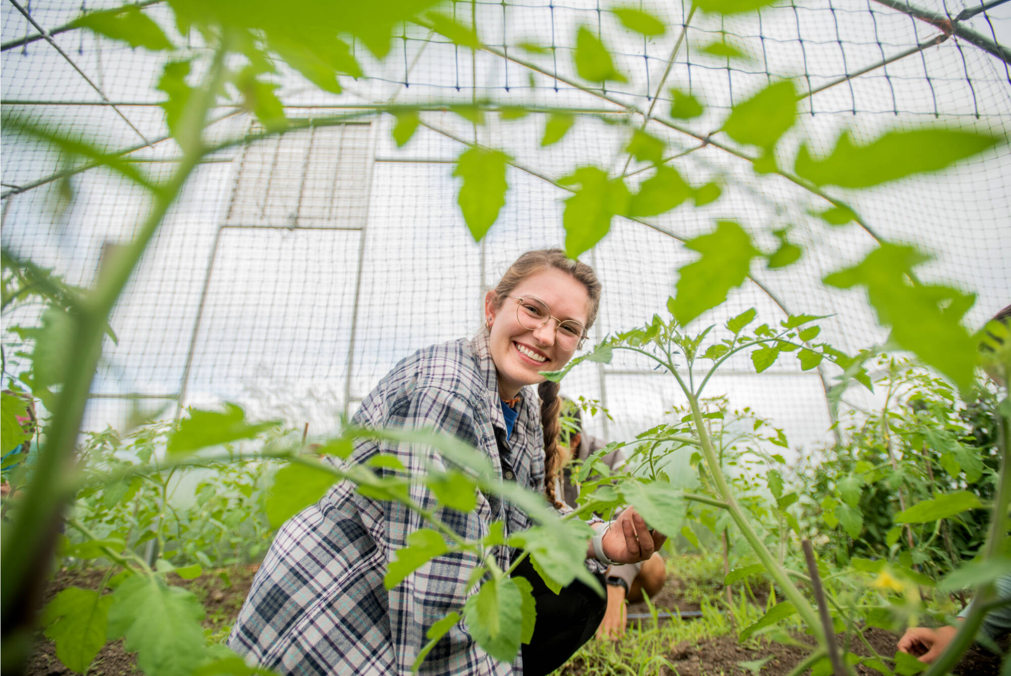 Student volunteering at the SAP